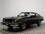 Chevrolet Cosworth Vega 1975 года